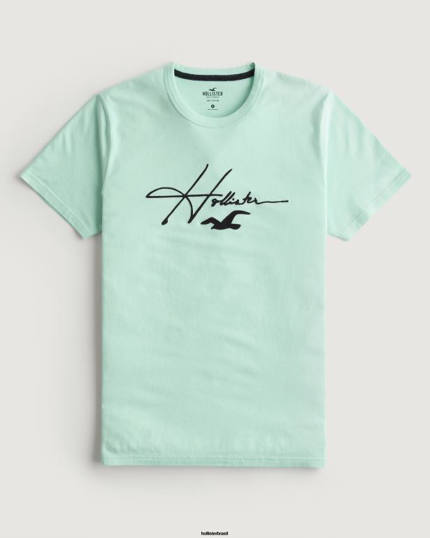 camiseta gráfica com logotipo de assinatura hortelã homens Hollister tops  TT24P927 [TT24P927] : Jaqueta Hollister